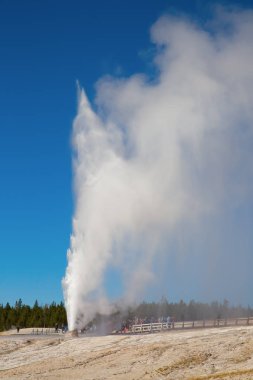 Koni Şofben Yellowstone Milli Parkı içinde