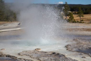 Gayzer patlama Yellowstone Milli Parkı