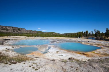 Sıcak havuzu Yellowstone Milli Parkı