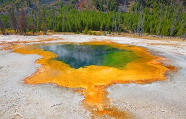 Sıcak havuzu Yellowstone Milli Parkı