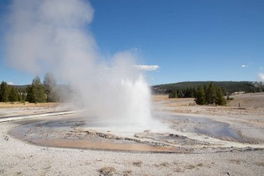 Gayzer patlama Yellowstone Milli Parkı