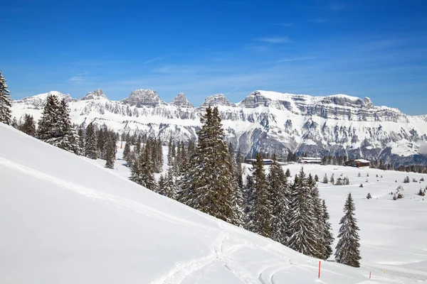 Winter in de Zwitserse Alpen — Stockfoto