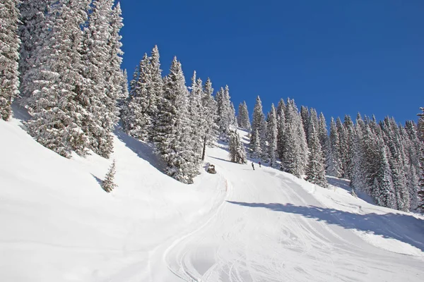 Winter in de Zwitserse Alpen — Stockfoto