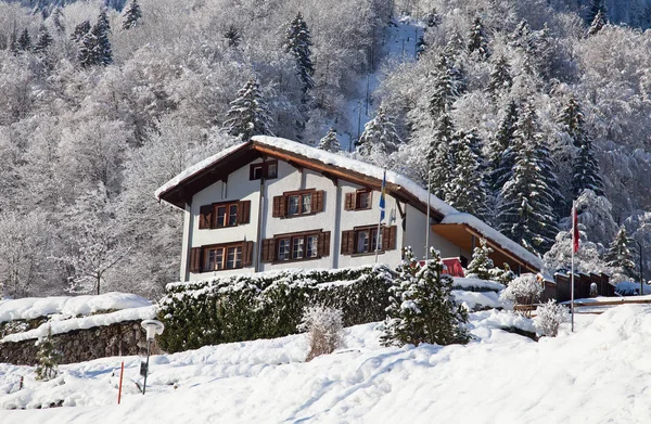 Vinter i de schweiziske alper - Stock-foto
