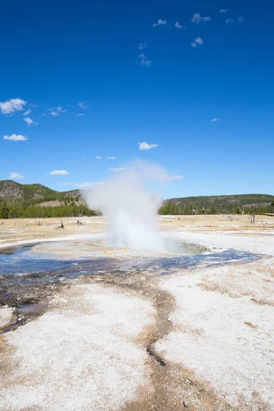 Geyser in the Yellowstone national park — Stock Photo, Image