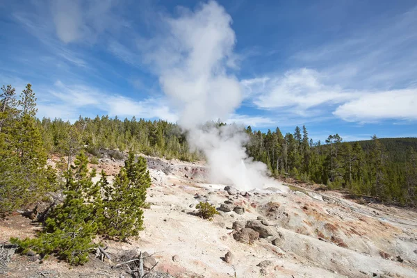 Steamboat geyser minor eruption — Stock Photo, Image