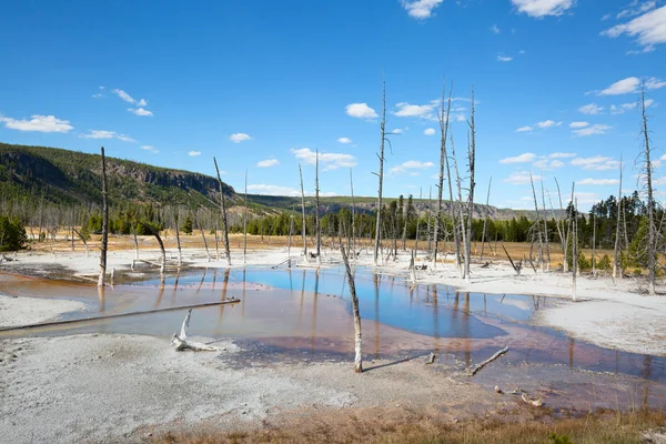 Gorący basen w Parku Narodowym Yellowstone — Zdjęcie stockowe