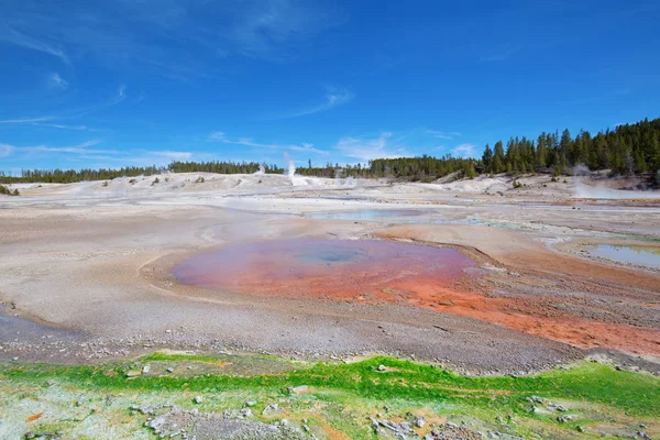 Piscine chaude dans le parc national Yellowstone — Photo