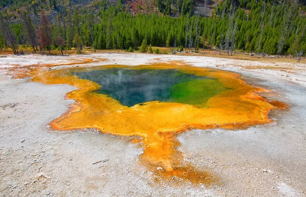Piscine chaude dans le parc national Yellowstone — Photo