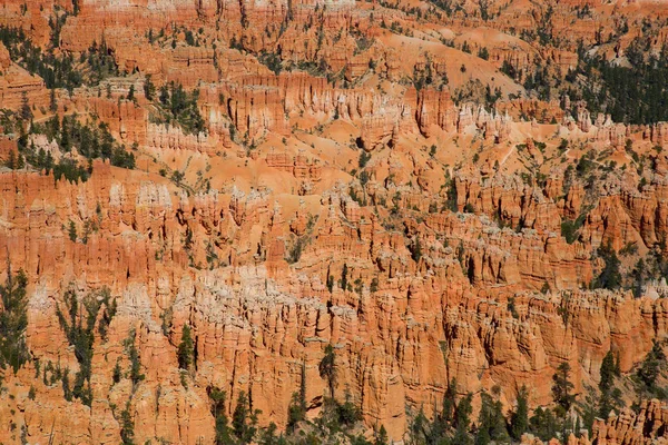 Parque Nacional Bryce Canyon em Utah — Fotografia de Stock