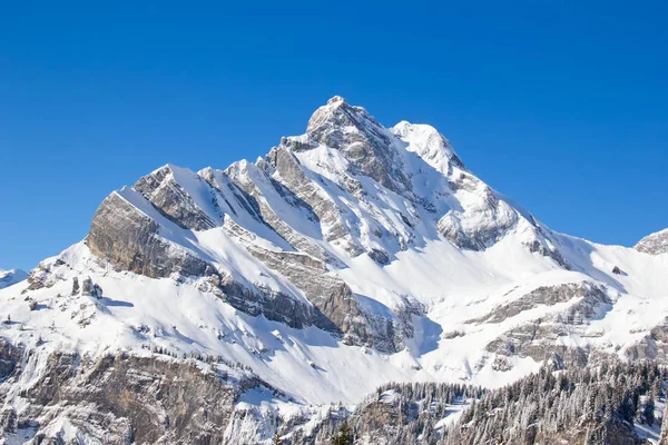 Winter in de Zwitserse Alpen — Stockfoto