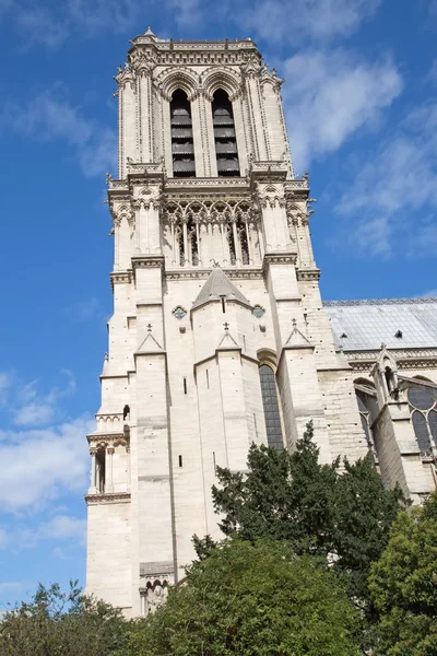 Notre Dame célèbre à Paris — Photo