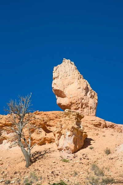 Bryce canyon national park in Utah — Stock Photo, Image