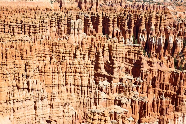 Bryce Canyon nationalpark i Utah — Stockfoto