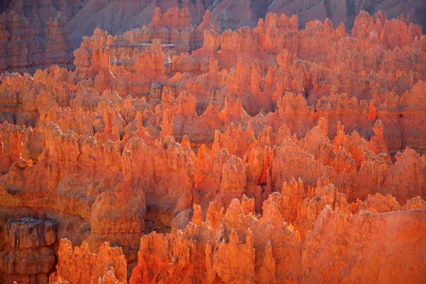 Bryce canyon national park — Stock Photo, Image