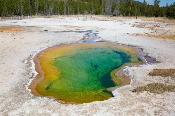 Piscine d'eau chaude colorée — Photo