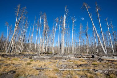 alt Şofben Havzası