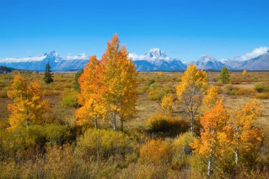 Grand Teton Ulusal Parkı