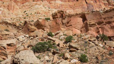 Capitol Resifi Ulusal Parkı