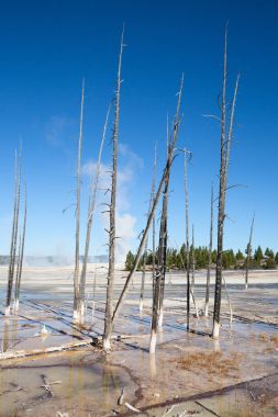 alt Şofben Havzası