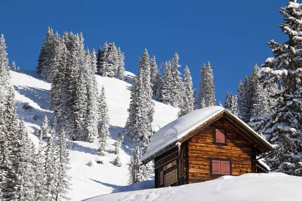 İsviçre Alplerinde kış