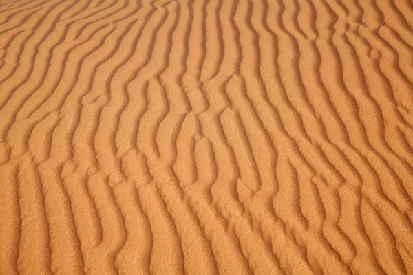 Deserto de areia vermelha — Fotografia de Stock