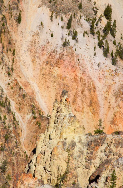 Şelale ve Yellowstone kanyonda — Stok fotoğraf