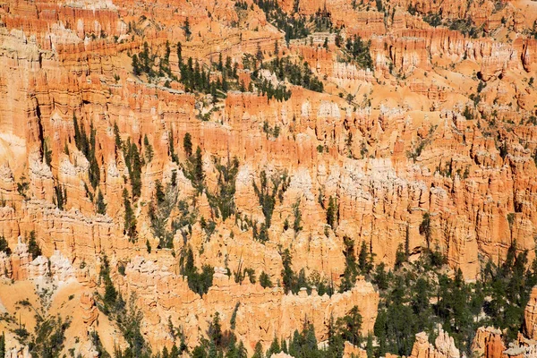 Parque Nacional Bryce Canyon —  Fotos de Stock