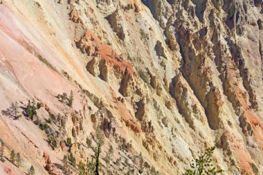 ellowstone Milli Parkı