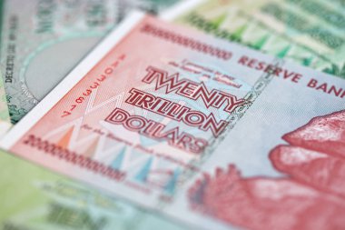 Yüksek enflasyondan sonra Zimbabwe 'nin banknotları