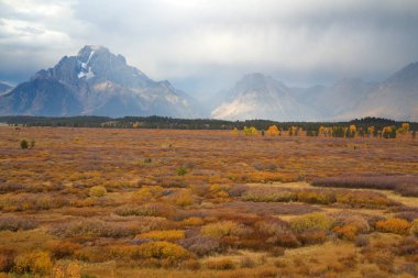 Grand Teton Ulusal Parkı