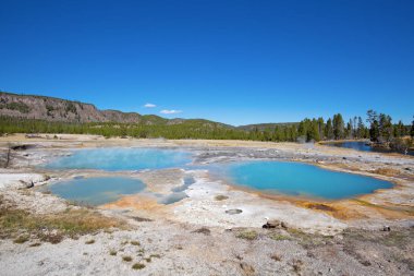 Siyah kum Şofben Havzası