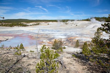 Norris Gayzer Havzası