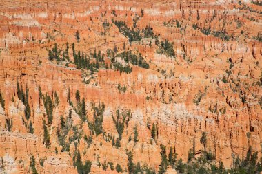 Bryce Kanyonu Ulusal Parkı
