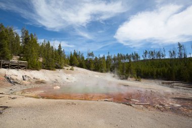 Norris Gayzer Havzası