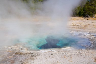 Yellowstone Milli Parkı