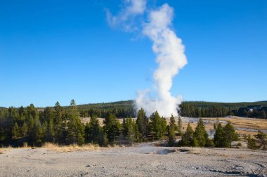Yellowstone Milli Parkı
