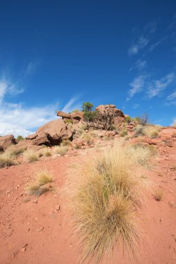 Canyonlands Milli Parkı 
