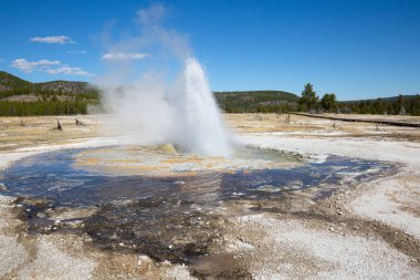 Yellowstone Milli Parkı