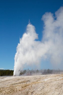 Koni Şofben Erüpsiyonu