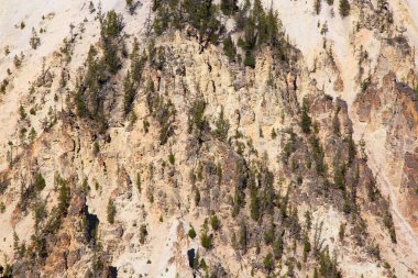 ellowstone Milli Parkı