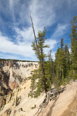 ellowstone Milli Parkı