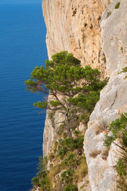 İspanyolca Formentor cape