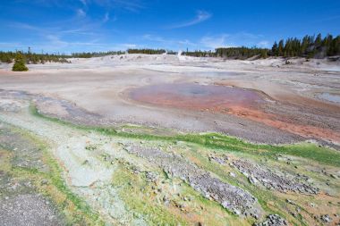 Norris Gayzer Havzası