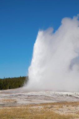 Yellowstone Milli Parkı