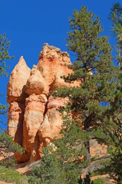 Bryce Kanyonu Ulusal Parkı