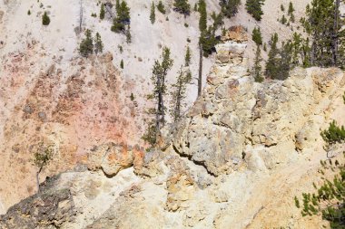 ellowstone Milli Parkı