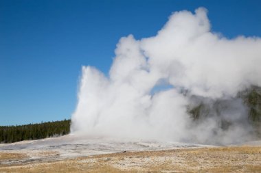 Yellowstone Milli Parkı