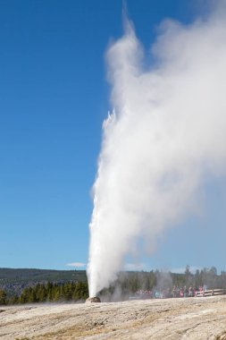 Koni Şofben Erüpsiyonu