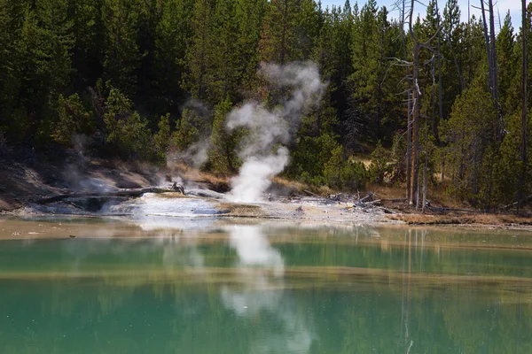 Bacia de Norris Geyser — Fotografia de Stock